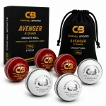 Premium Leather Cricket Ball from Sialkot Pakistan | Corival Sports