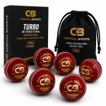 Premium Leather Cricket Ball