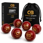 Premium Leather Cricket Ball