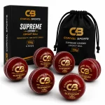 Premium Leather Cricket Ball